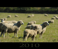 calender new zealand